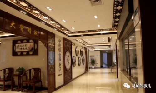 传承国粹，守护健康——罗星街道社区卫生服务中心中医门诊正式开诊